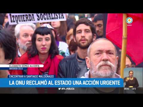 Aparición con vida de Santiago Maldonado | #TPANoticias