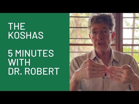 The Koshas: 5 Minutes with Dr. Robert
