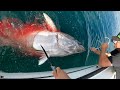 WHAT WICKED TUNA *DOESN'T* SHOW (BTS of the Giant Bluefin Commercial Fishery)