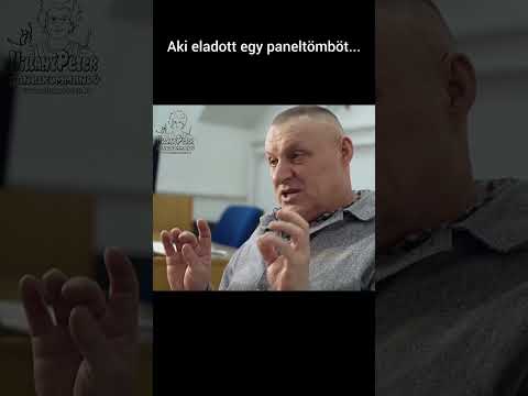 AKI ELADOTT EGY EGÉSZ PANELTÖMBÖT