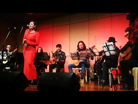 Sufro queriéndote - Elena Chavarriaga. Guabina (BASS)