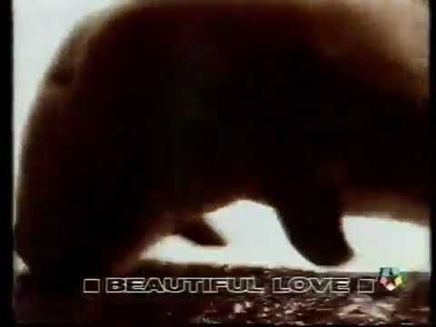 Julian Cope - Beautiful Love