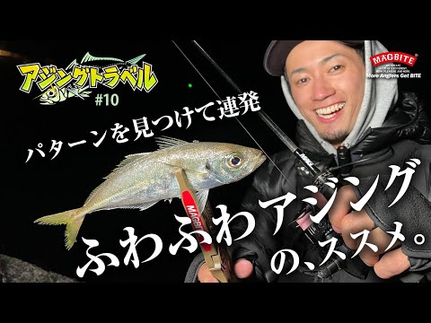 《 アジングトラベル vol.10 》良型アジ連発！激シブ状況下で荒効きしたジグ単・必殺メソッド公開