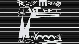 Musik-Video-Miniaturansicht zu What Not To Do (Moodymann Remix) Songtext von Róisín Murphy