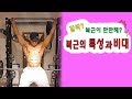 복근의 속성과 근비대