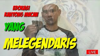 Download lagu LIVE STRIMING EDOKASI JIMAT KANTONG MACAN mp3