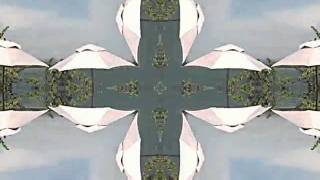 Ani DiFranco - Back Back Back (VOODOO FARM REMIX)