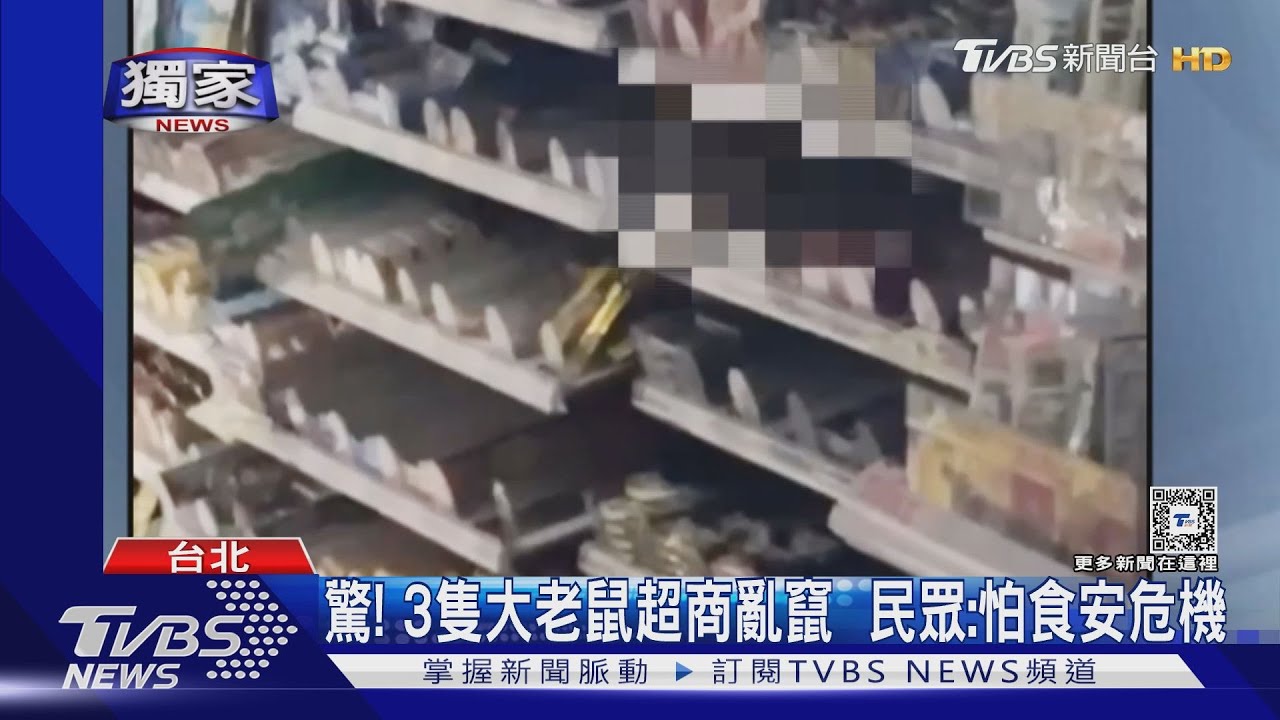 驚!3隻大老鼠超商亂竄 民眾:怕食安危機