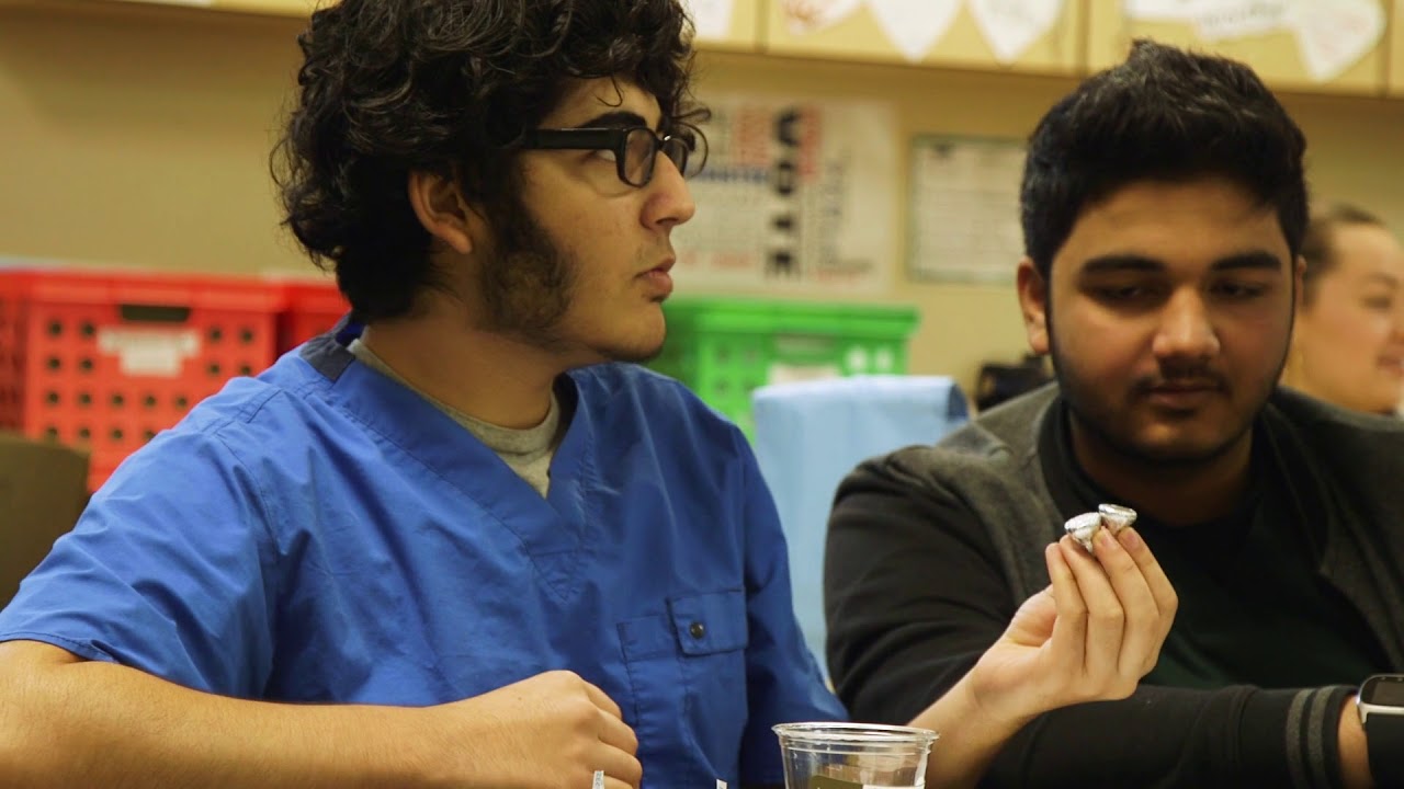 Linked Learning Certification Health Badge