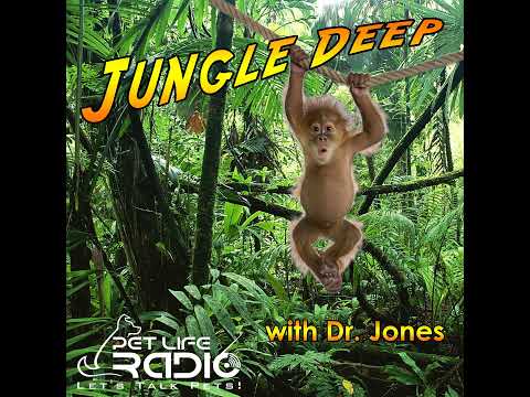 Jungle Deep - Episode 27 Wildlife Poet Olivia Binfield