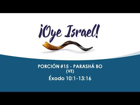 OYE ISRAEL - PORCIÓN #15 PARASHÁ BO