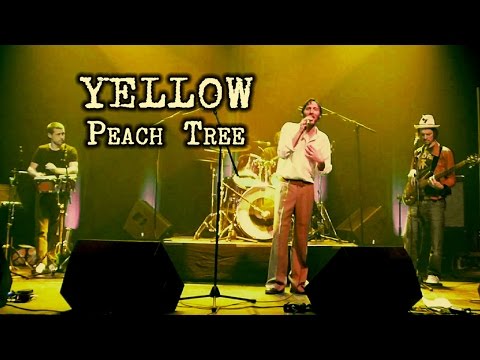 Peach Tree - Yellow