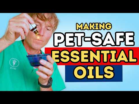 Essential OIls for Pets: Safe or Toxic? Dr Jones' Top 7 Pet Friendly Essential Oils