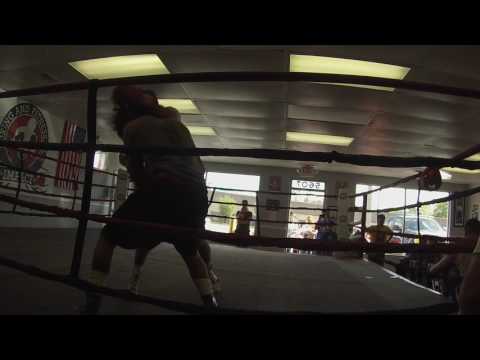 Sparring Matches At impact boxing gym preparations for The Golden Galveston in Palm Beach(3)