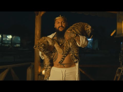 Dani Mocanu  🐅 Tigrul tau | Official Video