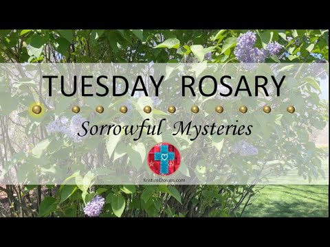 Tuesday Rosary • Sorrowful Mysteries of the Rosary 💜 May 21, 2024 VIRTUAL ROSARY - MEDITATION