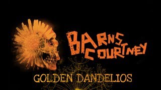 Barns Courtney - Golden Dandelions ( Lyrics )