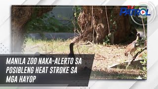 Manila Zoo naka-alerto sa posibleng heat stroke sa mga hayop | TV Patrol