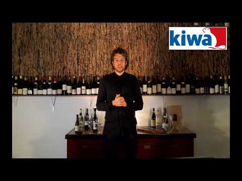 Rembrandt's wijnproeverij Kiwa