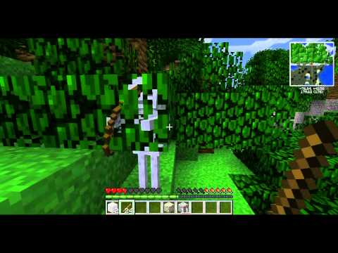 TerraFirmaCraft SMP with Dunk ~ Ep. 1 ~ SMP Bugs