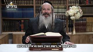 הרב שמעון שנייבלג - פרשת וארא אידיש