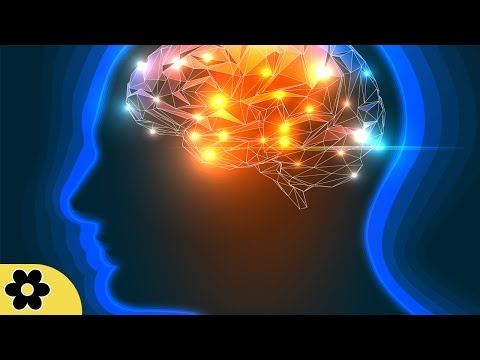 Music for Studying, Relaxing Music, Music for Stress Relief, Focus Music, Background Music, ✿2738C