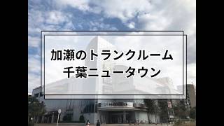 YouTube動画