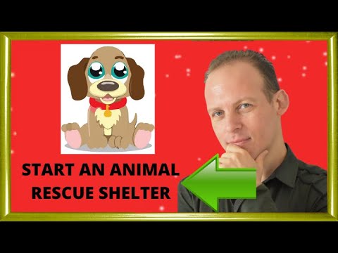 How to plan start and open an animal rescue shelter Video