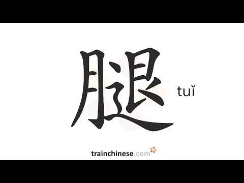 Wie schreibt man 腿 (tuǐ) – Bein; Schenkel – Strichreihenfolge, Radikal, Beispiele und Audio