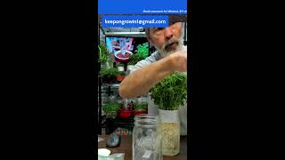 quick pop up, givvys, grow food fast