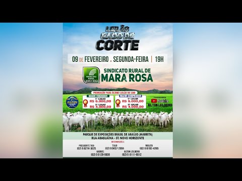 LEILÃO GADO DE CORTE - SINDICATO RURAL DE MARA ROSA 09/02/2026