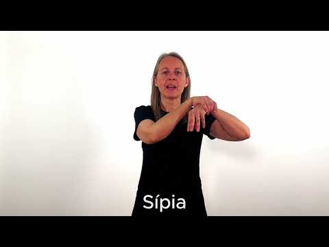 Sípia - LSC