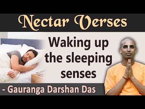 Waking up the sleeping senses | Nectar Verses (SB 4.9.6) | Gauranga Darshan Das