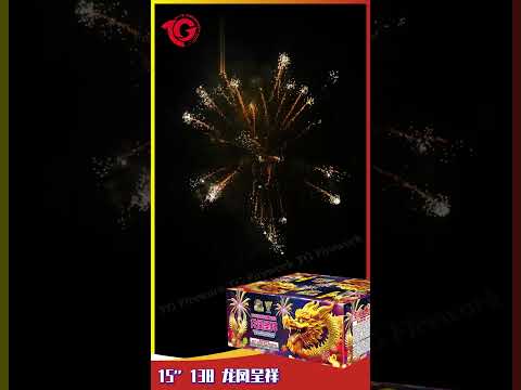 TG -15''138V 龙凤呈祥 /Long Feng Cheng Xiang