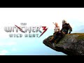 The Witcher 3: Wild Hunt Tribute 'You're not ...