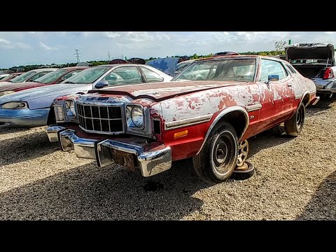 Thumbnail for With hood pins, possible Hotrod? 1976 Ford Elite Junkyard Find. by Ford Elite