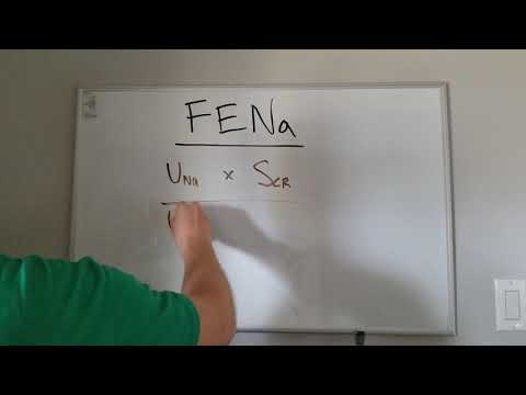 FENa- Mnemonic for Fractional Excretion of Sodium (Na)