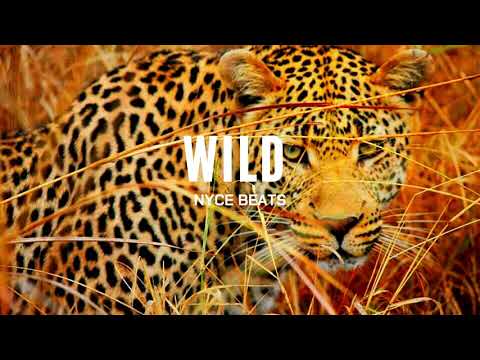 [FREE] Megan Thee Stallion x DaBaby Type Beat 2020  | "WILD"
