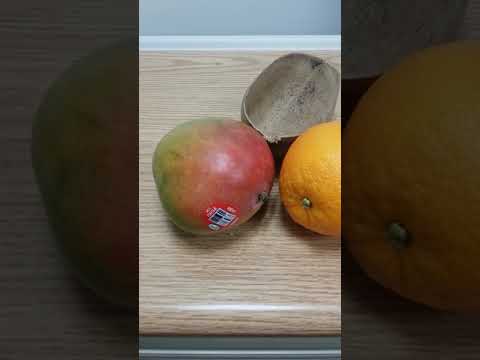 PSALM 146. Hymn to our EL'OHIM who helps us