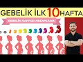 Gebelik Hesaplama ve Hamileliğin İlk 10 Haftasında Merak Edilenler