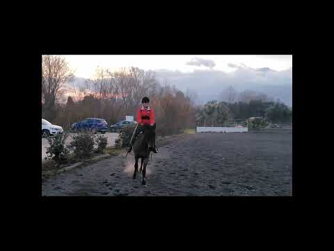 Equitazione... Valeria migliora GALOPPO E SALTO