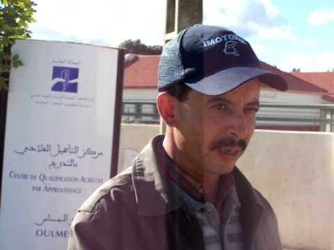 comment renforcer une ruche