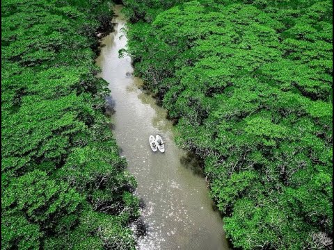 動画1