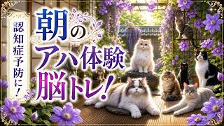【脳トレ習慣】認知機能アップ💡毎朝の脳活で健康習慣を！