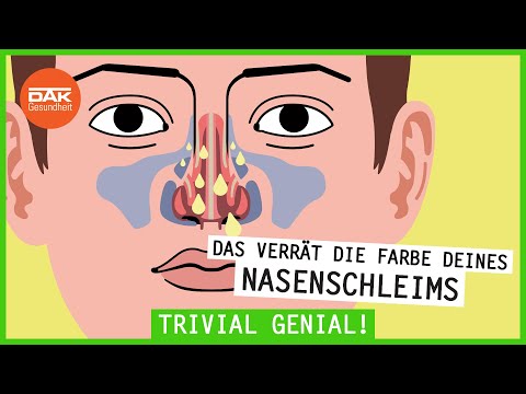 Das bedeutet die Farbe deines Nasenschleims | #trivialgenial | DAK-Gesundheit
