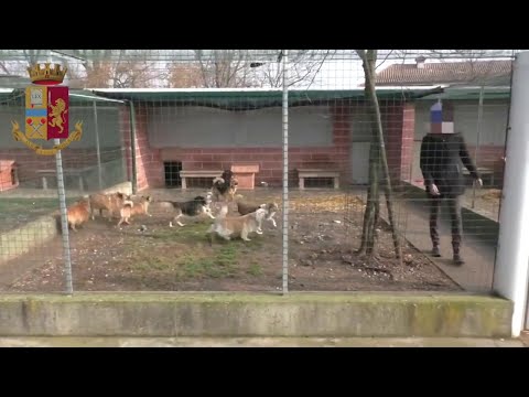 download lagu mp3 mp4 Concorsi Pordenone E Provincia, download lagu Concorsi Pordenone E Provincia gratis, unduh video klip Concorsi Pordenone E Provincia