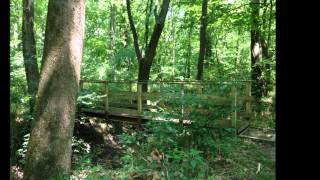 preview picture of video 'Spice Bush Trail Robertsville State Park'