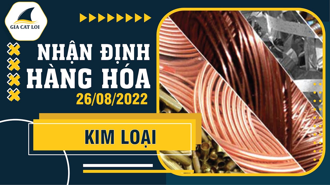 Nhận Định Thị Trường Kim Loại Ngày 26/08/2022