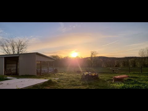 W.O.E is S.H.E Reading #46 🌺 - Galatians Chapter 1