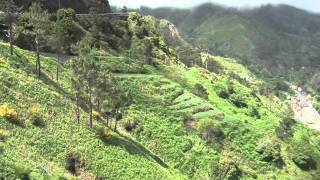 Introducing Madeira Islands